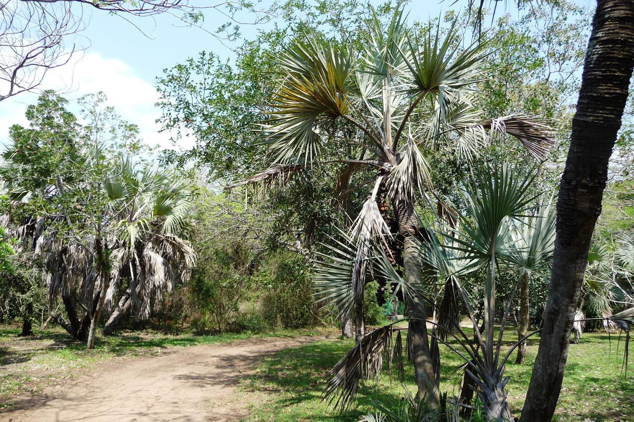 فيلا هلوهلويفي Isinkwe Bush Camp المظهر الخارجي الصورة